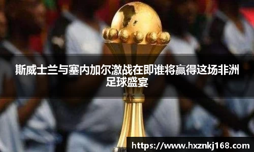 星空体育·(中国)官方网站